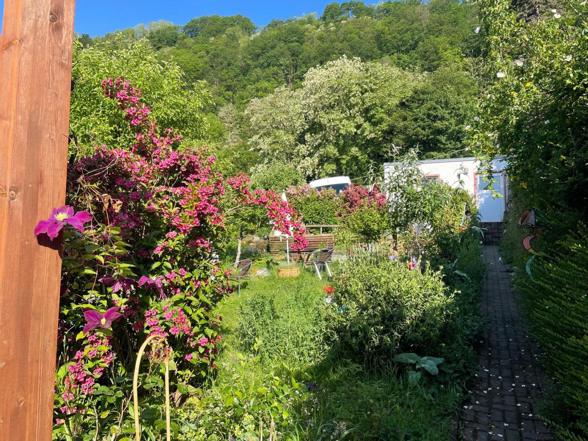 Blick Ins Gruene, Nah Am Zentrum Treviri Esterno foto